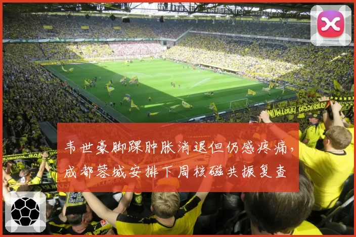韦世豪脚踝肿胀消退但仍感疼痛，成都蓉城安排下周核磁共振复查