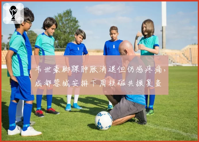韦世豪脚踝肿胀消退但仍感疼痛，成都蓉城安排下周核磁共振复查